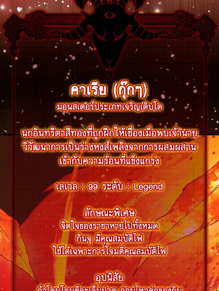 Max Level Player - หน้า 51