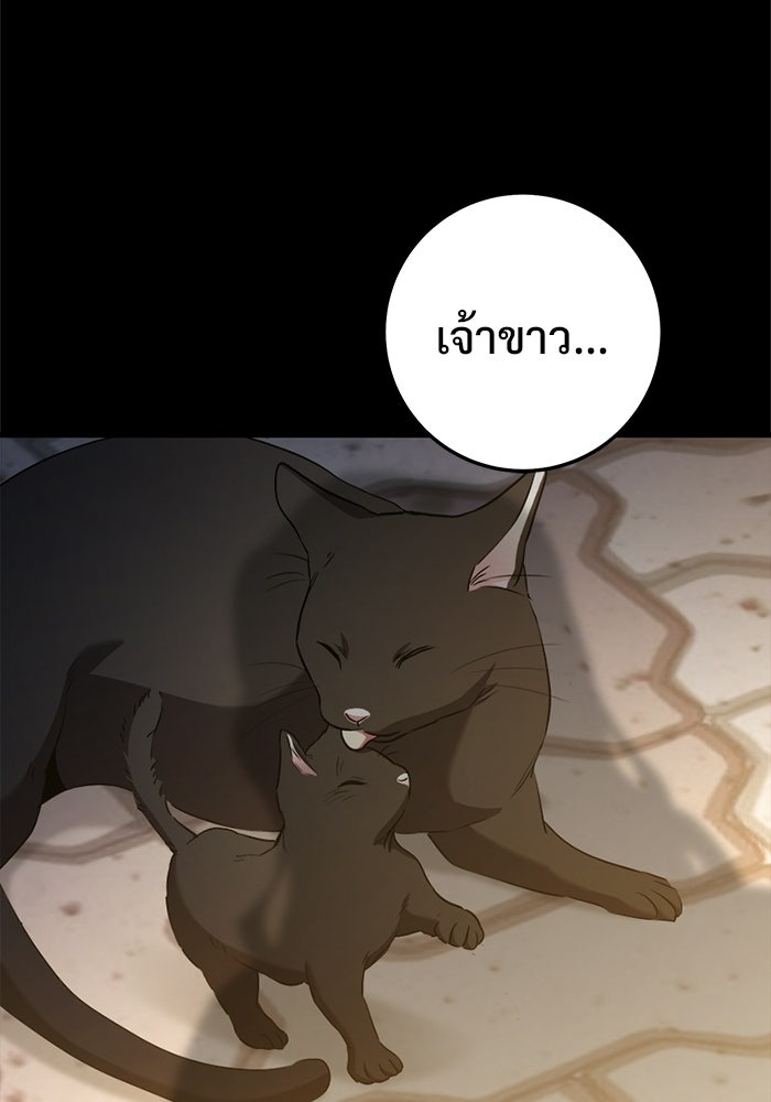ราชินีนักบู๊ - หน้า 236