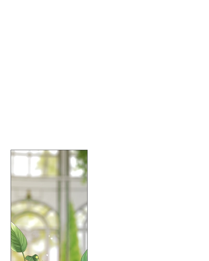 เซเรน่า - หน้า 1