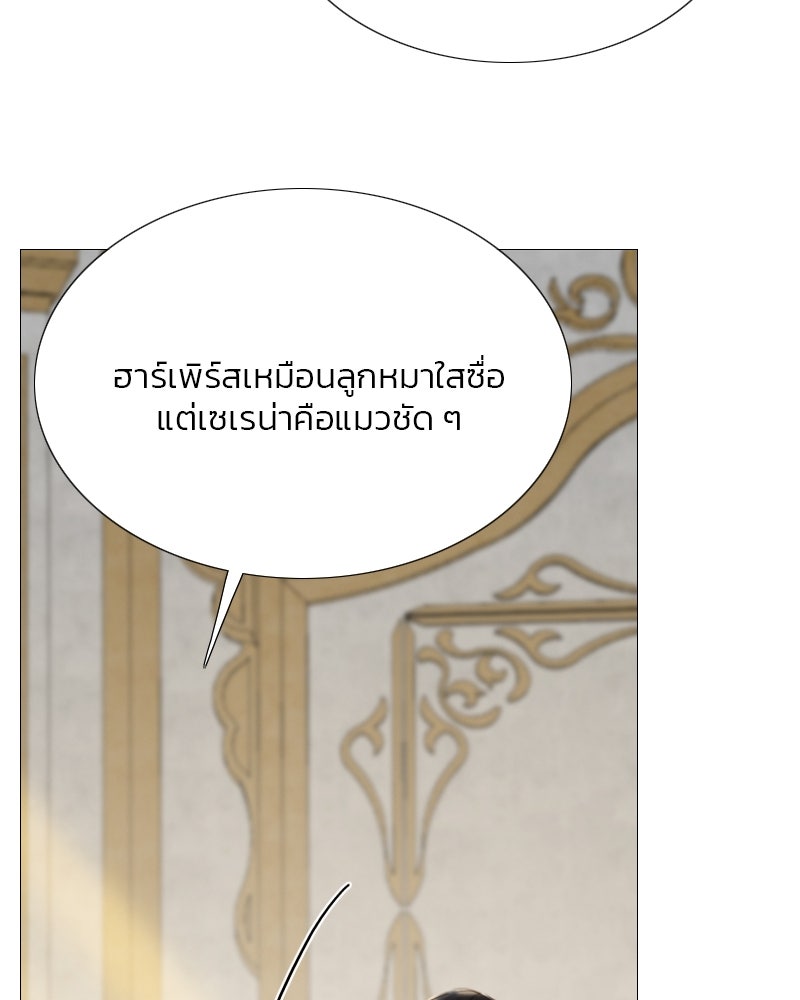 เซเรน่า - หน้า 41