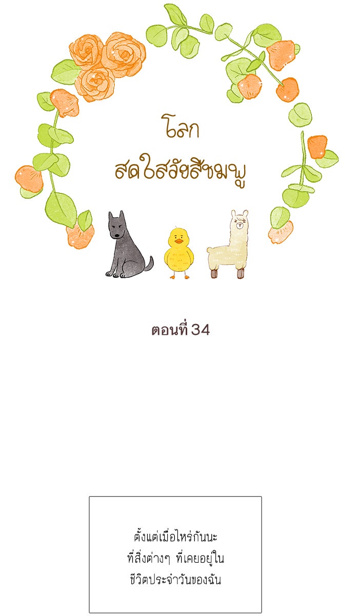 โลกสดใสวัยสีชมพู - หน้า 36