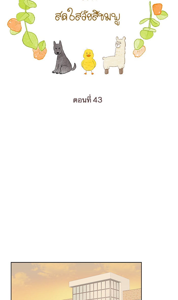 โลกสดใสวัยสีชมพู - หน้า 33