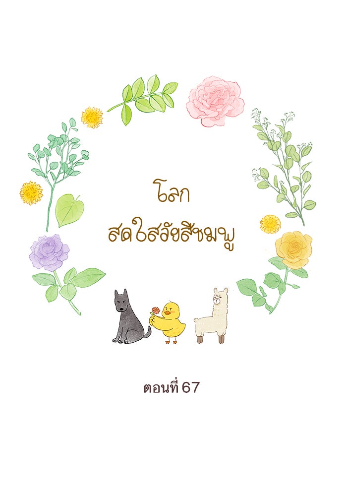 โลกสดใสวัยสีชมพู - หน้า 4