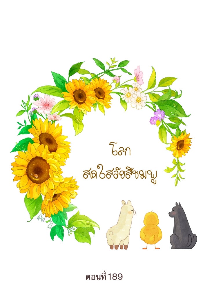 โลกสดใสวัยสีชมพู - หน้า 1