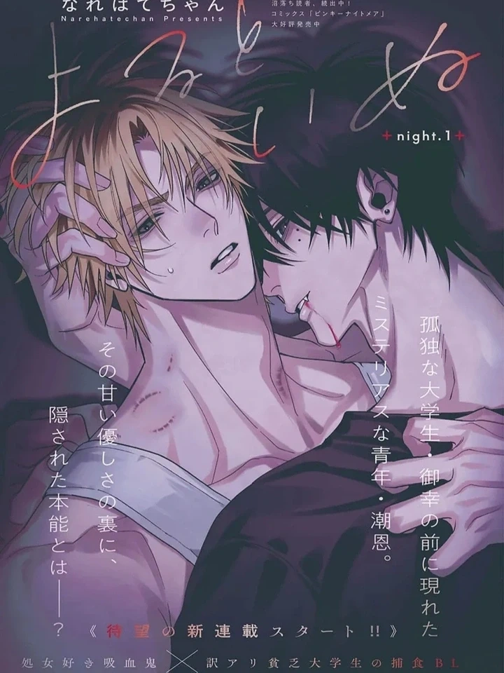 Night and Dog - แวมไพร์ผู้หลงรักนักศึกษาหนุ่ม ปก